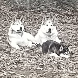 Meet your Posher, Rick